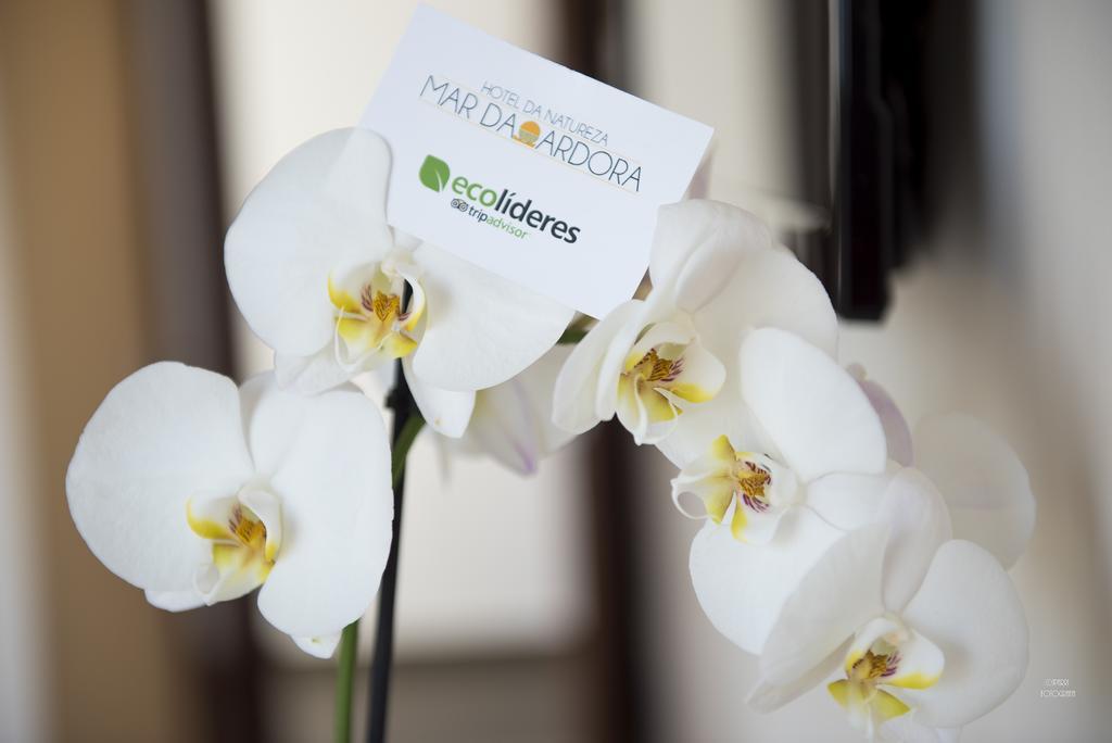 Hotel Naturaleza Mar Da Ardora Wellness & Spa ฟินิสแตร์เร ภายนอก รูปภาพ